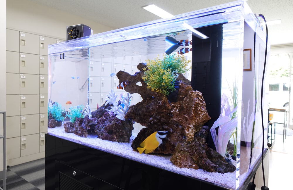 上尾市 企業様 ロッカールームに設置した90cm海水魚水槽
