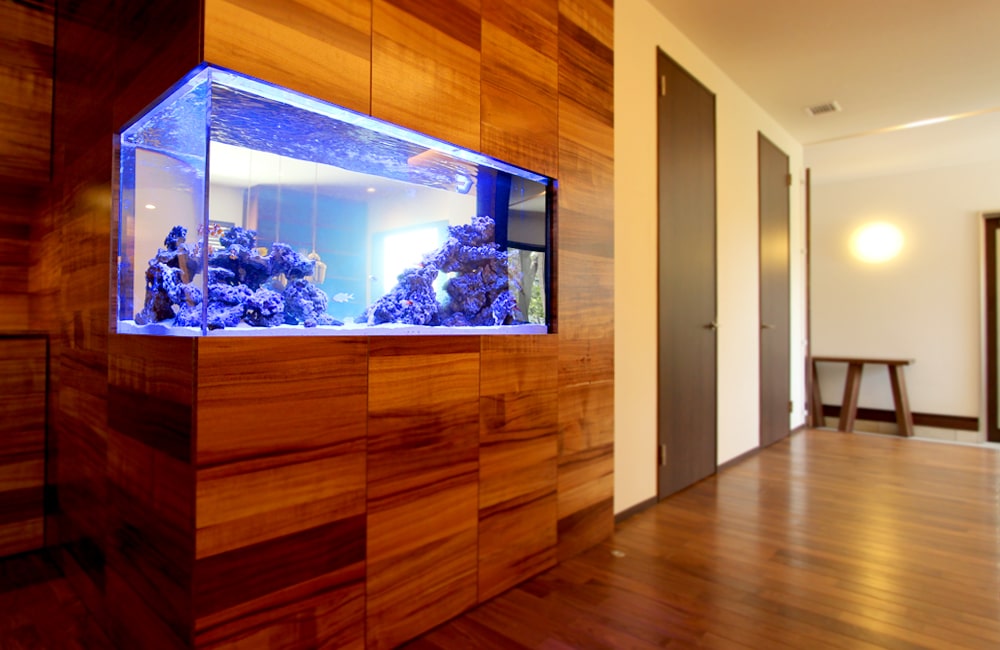 志木市 個人宅 おしゃれなご自宅の壁に埋め込んだ136cm海水魚水槽